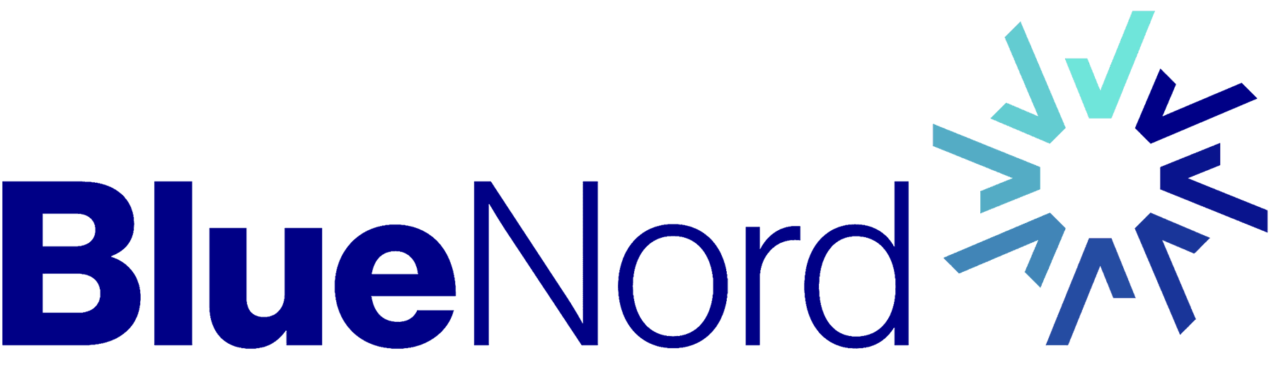 BlueNord logo
